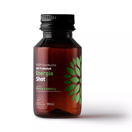 VIGO Kombucha probiotyk, detoks, shot (100ml) - BIO