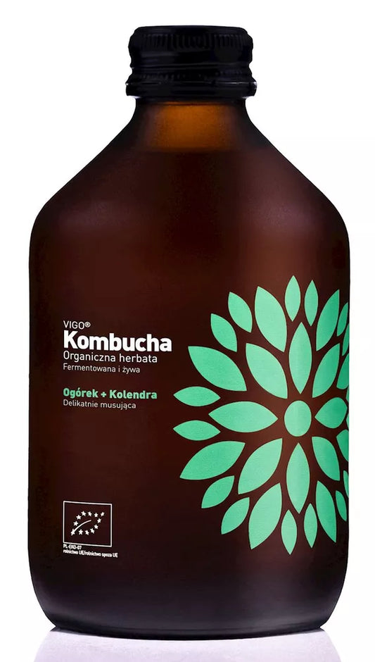 VIGO Kombucha Yerba Mate (330ml) - BIO