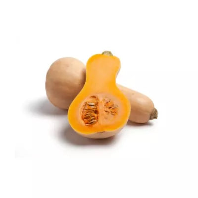 Dynia ekologiczna HOKKAIDO (1,5kg) - BIO (PL)