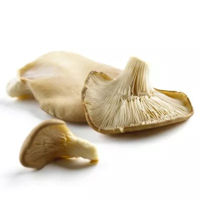 Boczniaki ekologiczne opakowanie 200g (PL)